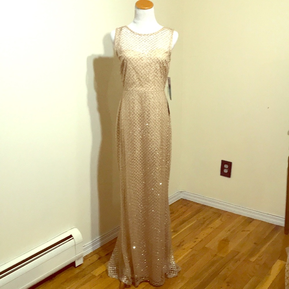 NWT - Gold A Line gown with chapel train